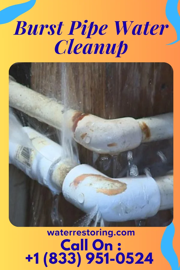 Burst Pipe Water Cleanup in Sobieski, MN