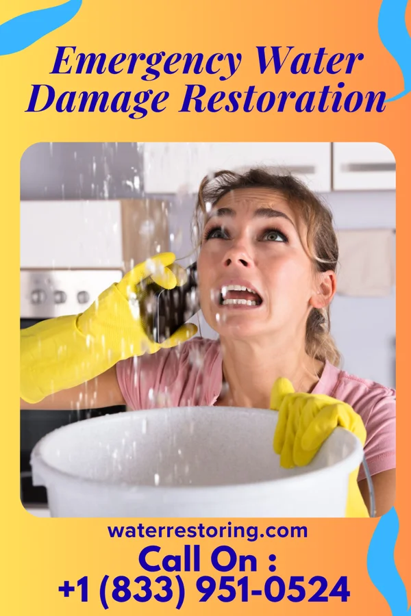 Emergency Water Damage Restoration in Sobieski, MN