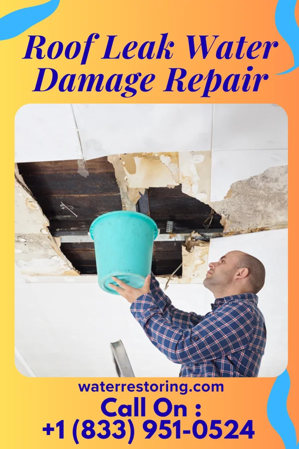 Roof Leak Water Damage Repair in Sobieski, MN